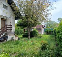 The garden on Havran Street in Hamuliakovo with flowers and a wooden house.