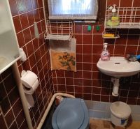 Retro bathroom with toilet and sink, tiles with Garden-style accessories.