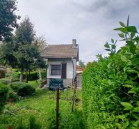 The garden by the house on Havrania Street in Hamuliakovo with dense green vegetation.