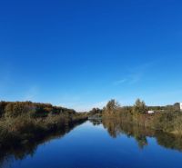 A peaceful river surrounded by greenery in Hamuliakovo, near a family house.