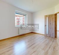 A studio apartment with a wooden floor, white walls, and a window to the exterior.