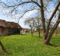 A garden with a lawn and trees behind a family house in Horná Súča.
