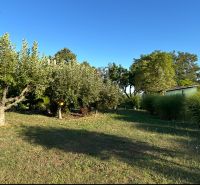 A garden in Chotín on Pri stanici street with fruit trees and a wooden house.
