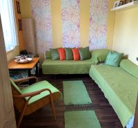 A sofa in a green cover and a wall with floral wallpaper on a floor with wooden decor.