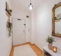 A hallway in a 2-room apartment with decorations, a mirror, and plants, with a carpet on the floor.
