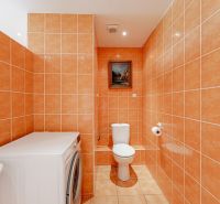 Bathroom with orange tiles, a washing machine, and a toilet in a 2-room apartment.