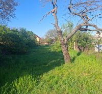 A family house in Tvrdošovce with a large garden and an old tree.