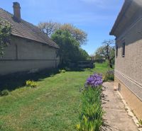 The garden of a family house in Tvrdošovce with flowers and greenery.