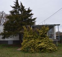 A family house on Húšky Street in Borský Svätý Jur surrounded by greenery and trees.