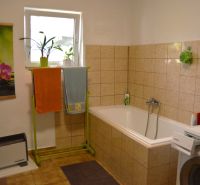 A bathroom with a bathtub, tiles, a washing machine, and houseplants in a family house.