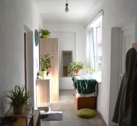 The entrance hall of a family house with windows, rugs, and potted plants.