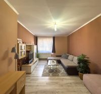 Living room in a family house with comfortable seating and wood-patterned flooring.