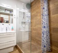 A bathroom in a 2-room apartment with a wooden decor floor, a shower corner, and a sink.
