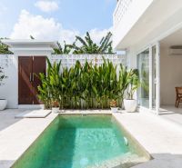 A villa in Bali with a small pool, green plants, and a terrace.