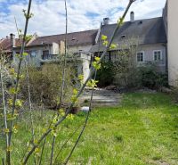 A garden at a family house in Kremnica with a lawn, shrubs, and a branch in view.