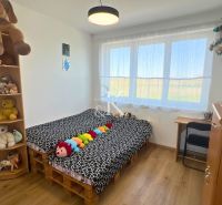 Children's room in a family house with a wooden decor floor and lots of plush toys.