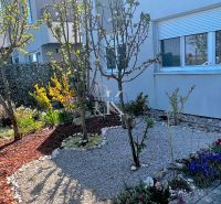 A family house in Boldog with a landscaped garden and diverse plants along the stone pathway.