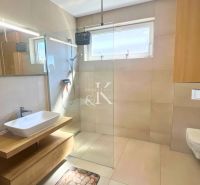 A bathroom in a family house with a minimalist shower and a sink on a wooden cabinet.