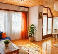 Living room in a family house with a sofa, wooden decor flooring, and a plant.