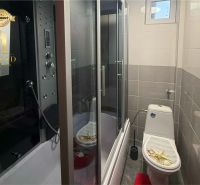 Bathroom in a family house with a toilet, shower, and decorative rug.