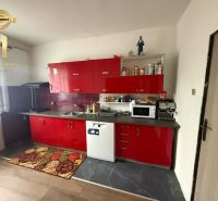 A kitchen in a family house with bright red cabinets and a decorative floor.