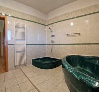 A bathroom in a family house with ceramic tiles and dark green sanitary ware.