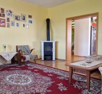 Living room of a family house with a fireplace, wooden decor flooring, and a carpet.