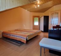 A bedroom in a family house with wooden decor on the ceiling and floor.
