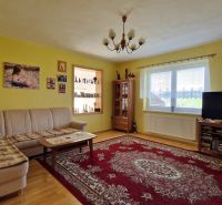 Living room in a family house with a comfortable sofa and a decorative carpet.