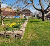 A garden at a family house in Spišský Štvrtok with trees and flowers.