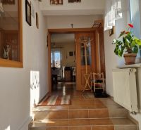 A hallway in a family house with steps, a radiator, and a plant on the windowsill.