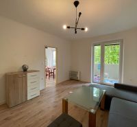 2-room apartment with wood-patterned flooring, a sofa, and a glass coffee table.