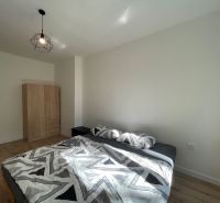 Bedroom in a 2-room apartment with a bed, wardrobe, and floor with wooden decor.