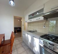 A kitchen with a dining table, a cooktop, and a view into the living room in a 2-room apartment.