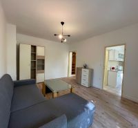 Living room in a two-room apartment with a wooden decor floor and a gray sofa.