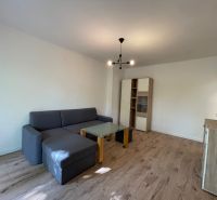 Living room in a two-room apartment with a sofa, table, and wooden decor flooring.
