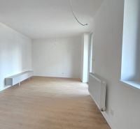 A bright room in a 3-room apartment with a wood-patterned floor and a radiator.