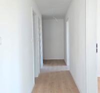 A hallway in a 3-room apartment with a wooden decor floor and white walls.