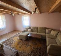Living room in a family house with a sofa, wooden-patterned floor, and a floral carpet.