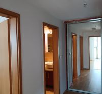 A hallway with a wooden decor floor and a mirrored wardrobe in a 2-room apartment.