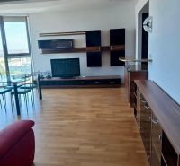 Living room in a two-room apartment with a wood-patterned floor and a large window.