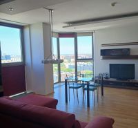 Living room in a two-room apartment with a wood-patterned floor, view through a large window.