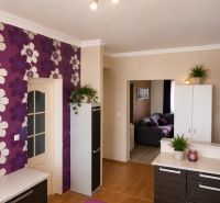 A kitchen in a 3-room apartment with a wooden decor floor and floral wallpaper.