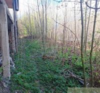 An abandoned building surrounded by dense vegetation in Heľpa. Unusual properties.
