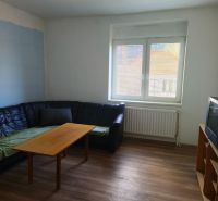 Living room in a family house with a leather sofa and a wooden decor floor.