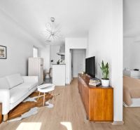 Bright 2-room apartment with wood-patterned flooring, comfortable seating, and decorations.