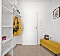 Entrance hall in a 2-room apartment with storage shelves and wood-patterned flooring.