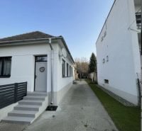 IMG_1369.jpg