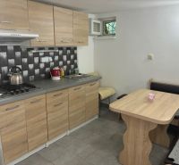 A kitchen in a cottage with a countertop and a dining table, floor with wooden decor.