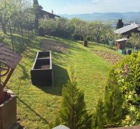 A garden by the cottage in Ilava with a lawn, raised beds, and a wooden well.